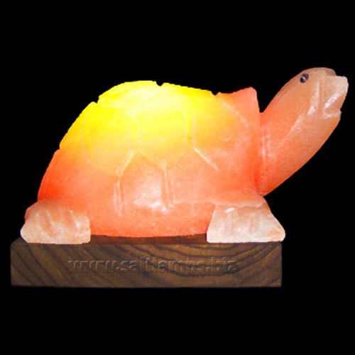 Turtle shape himalayan salt - himalayan,