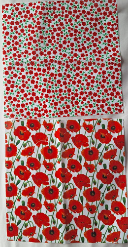 Pretty red poppy - poppy, x