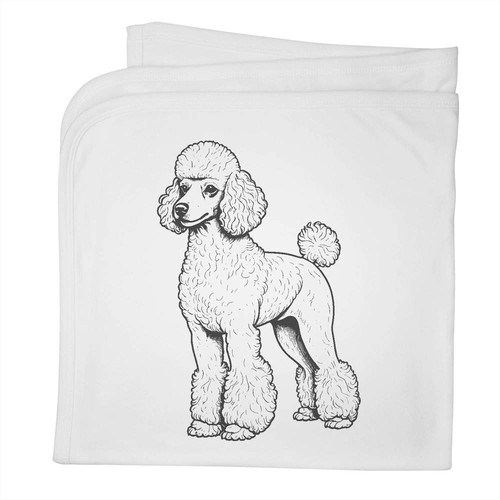 Standard poodle baby - 'standard, poodle'