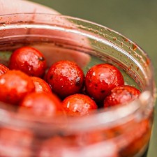 King Crab Boosted Hookbaits  -