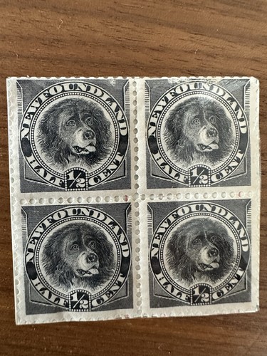 Newfoundland 1894 black - ½c,