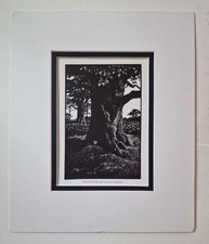 WATKINS-PITCHFORD (BB) Badger