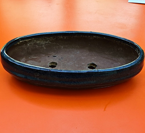 Bonsai pot oval blue - pot, blue/black