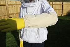 Beekeepers Wrist and Arm