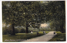 An Early British Mirror Post Card of Main Avenue, Calderstones Park, Liverpool.