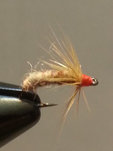 Fly fishing flies hot - fly,