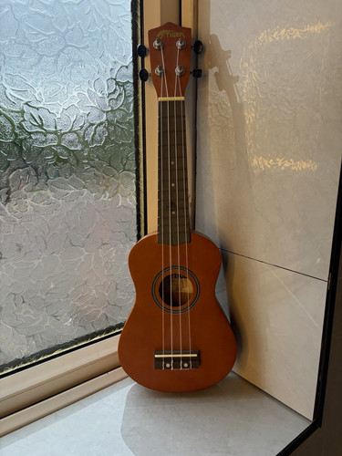 Tiger soprano ukulele string - tiger,