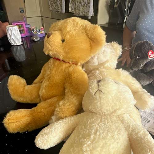 Bear factory plush teddy - bear,