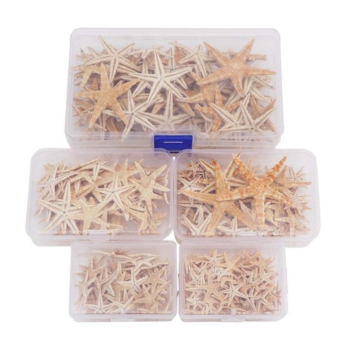 Captivating natural starfish - natural,