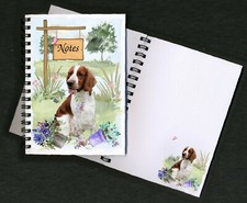 Welsh Springer Spaniel Dog