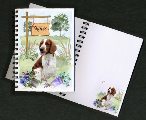 Welsh springer spaniel - welsh,