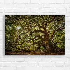 Enchanted Oak Tree Original
