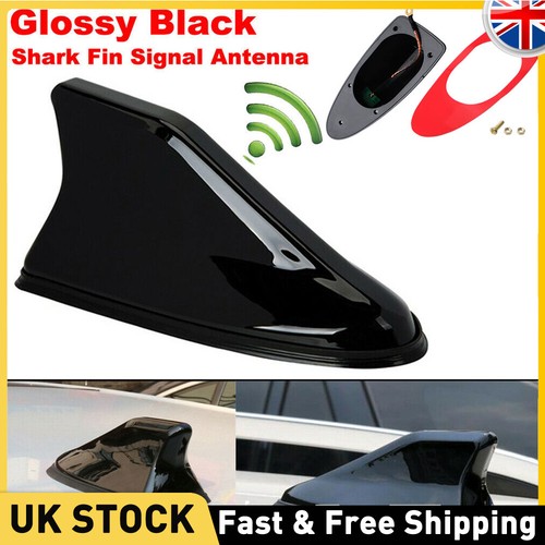 Shark fin roof - shark,