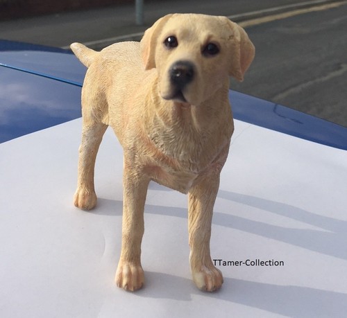 Miniature standing labrador - miniature,