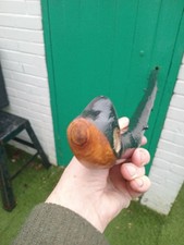 IRISH BLACKTHORN STICK  36.5