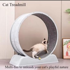 Cat Exercise Wheel XL Cat