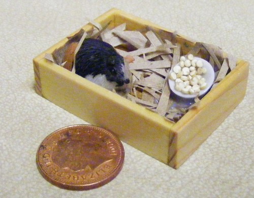 Dolls house guinea pig - house, at