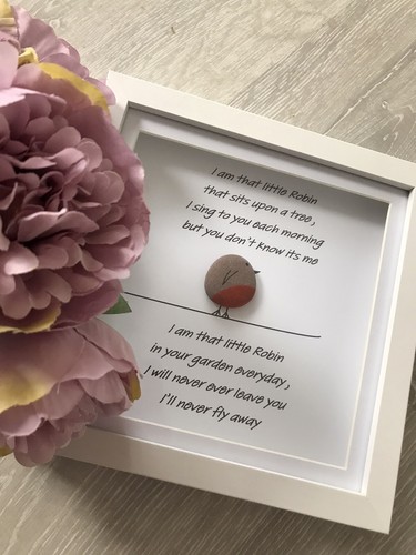 Robin framed pebble - robin,