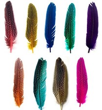 Feather Guinea Fowl Wedding Craft Art Decoration Retro Home Embellishement Deco