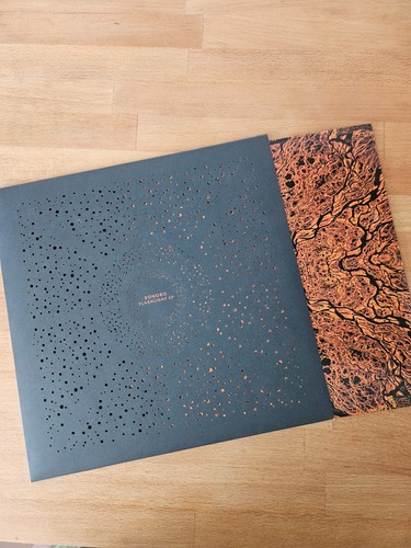 Bonobo flashlight vinyl - -,