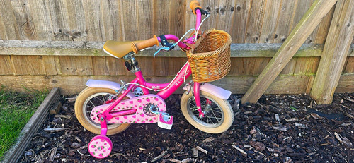 Raleigh mollie pink - raleigh,
