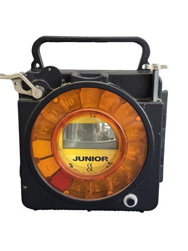 Vintage pigeon racing clock - racing,