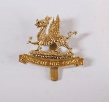 University OTC Cardiff Welsh Dragon - British military cap badge