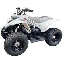 Quadzilla R100 quad bike ATV