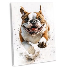 Happy British Bulldog Canvas