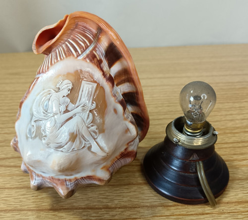 Antique carved cameo conch - carved,