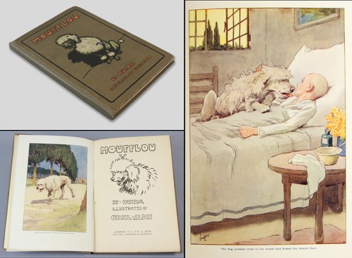 Dogs ouida moufflou french - moufflou,