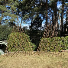 Willow garden obelisk wooden - willow,