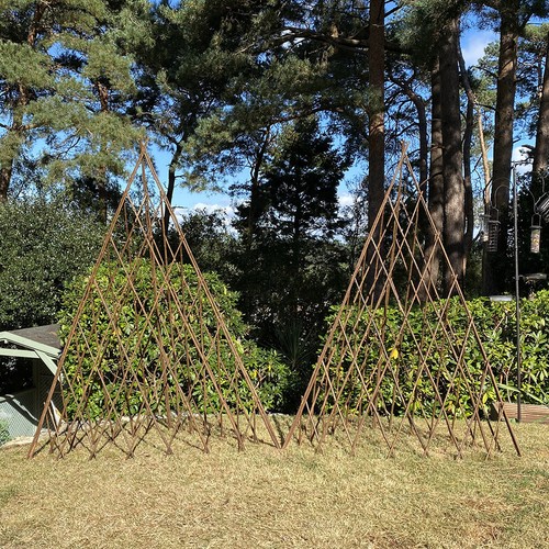 Willow garden obelisk wooden - obelisk,
