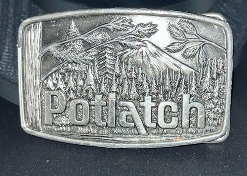 Potlatch lewis corp - lewis, palatine