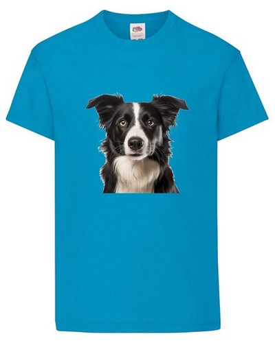 Collie dog pet family - dog,