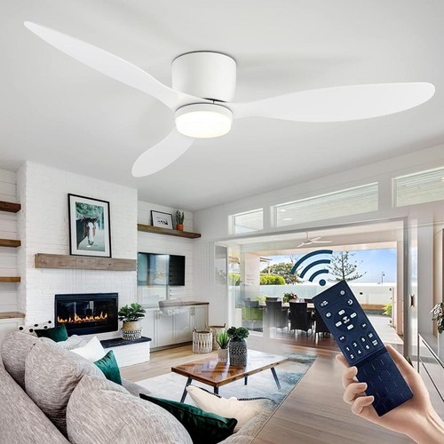 Led ceiling fan with - led,