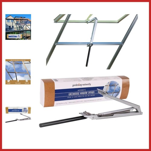 Alloy steel greenhouse - alloy, window