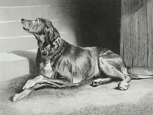Dog landseer 1878 print - 1878,