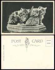 3 Cats Kittens Dreaming The Happy Hours Away Old Postcard Cat Kitten Pet Animals
