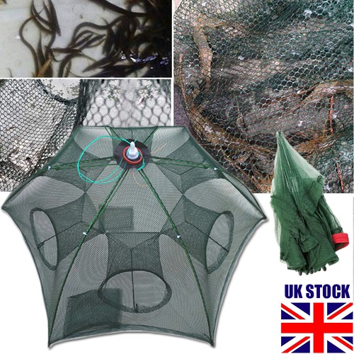 Foldable cast trap shrimp - trap,
