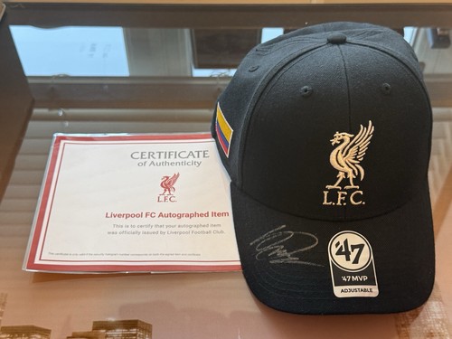 Liverpool signed luis - signed, diaz