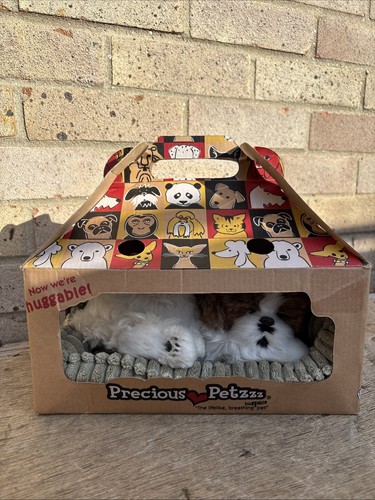 Precious petzzz shih - petzzz,