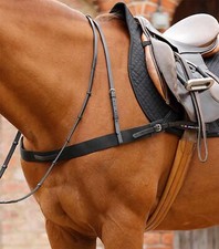 Premier Equine Zimella Elastic