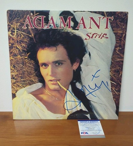Adam ant strip - adam,