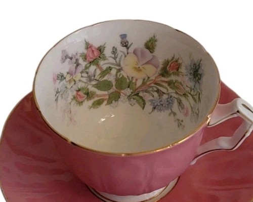 Rare aynsley wild - wild, pink