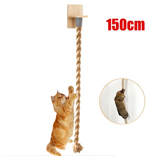 Meter wall mounted cat - wall-mounted,