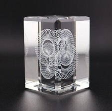 3D Laser Etched Optical