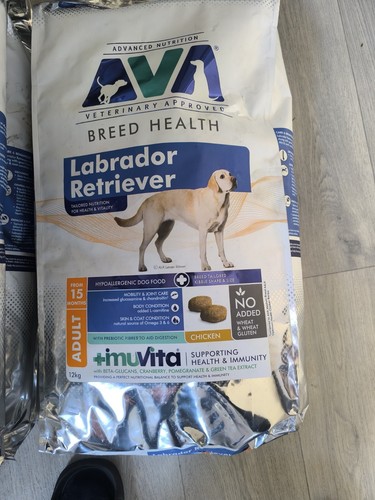 Ava breed health labrador - ava,