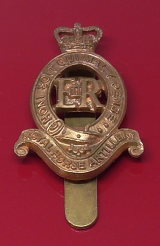 Royal horse artillery - horse,