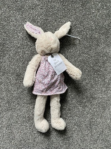 Next bunny rabbit best - rabbit, my